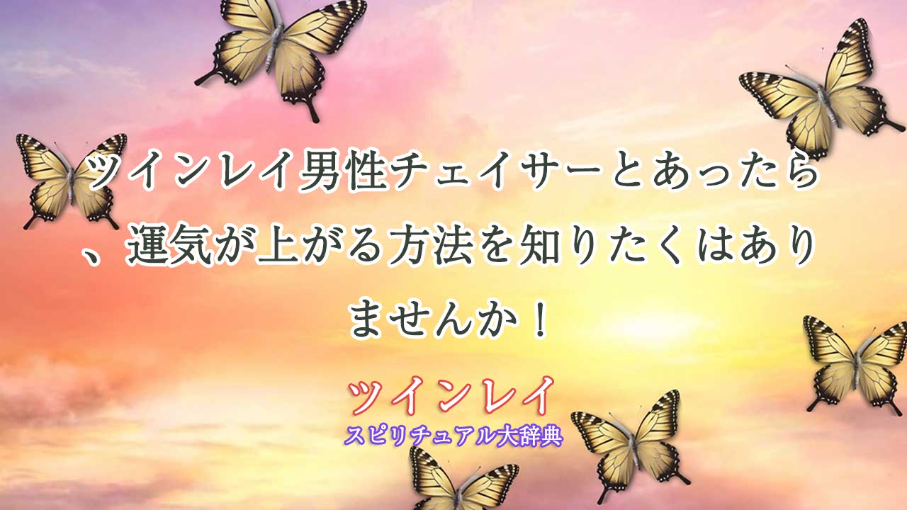 ツインレイ-男性-チェイサー-と-あっ-たら-運気-が-上がる