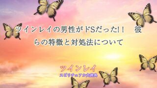 ツインレイ-男性-ドs
