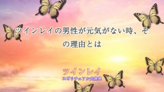 ツインレイ-男性-元気がない