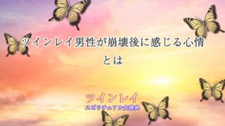 ツインレイ-男性-崩壊後