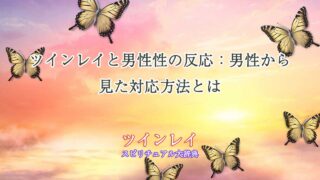 ツインレイ-男性性反応