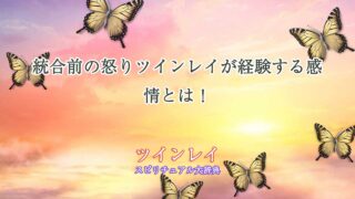 ツインレイ-統合-前-怒り