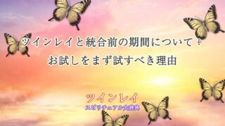 ツインレイ-統合前-お試し