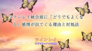 ツインレイ-統合前-どうでもよくなる