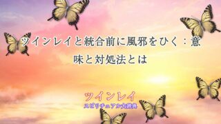 ツインレイ-統合前-風邪