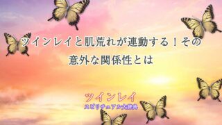 ツインレイ-肌荒れ