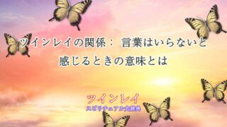 ツインレイ-言葉は-いらない