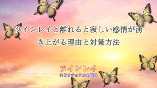 ツインレイ-離れると寂しい