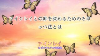 ツインレイろけっつ