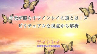 ツインレイ丹光