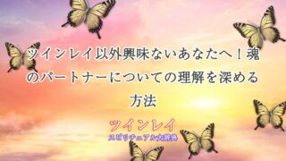 ツインレイ以外興味ない