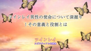 ツインレイ男性使命