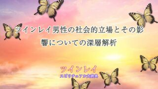 ツインレイ男性社会的立場