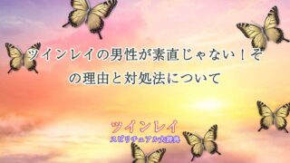 ツインレイ男性素直じゃない