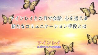 ツインレイ目で会話