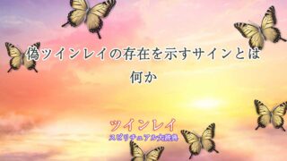 偽ツインレイ-サイン