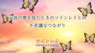 元彼の夢-ツインレイ