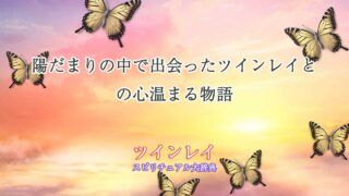 陽だまりツインレイ