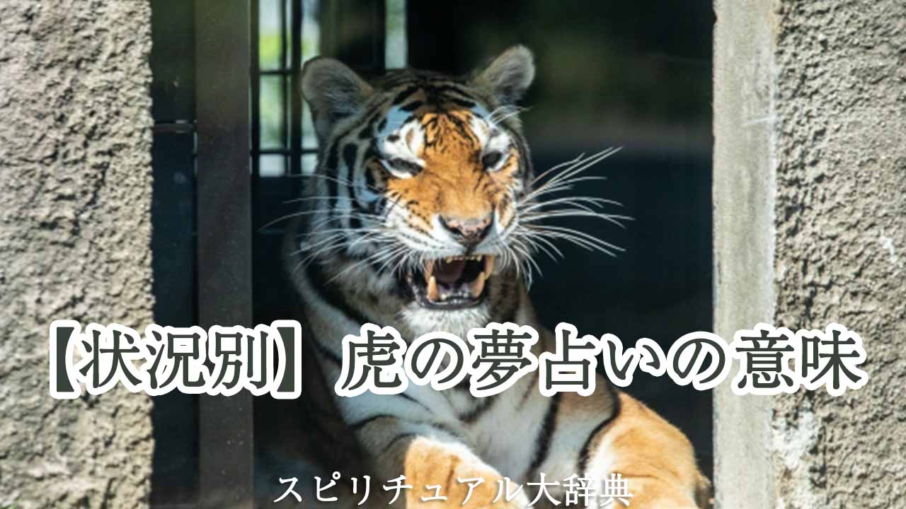【状況別】虎の夢占いの意味について