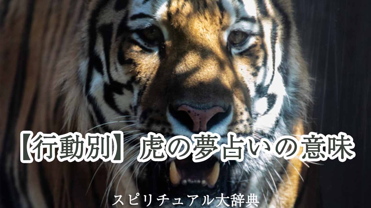 【行動別】虎の夢占いの意味について