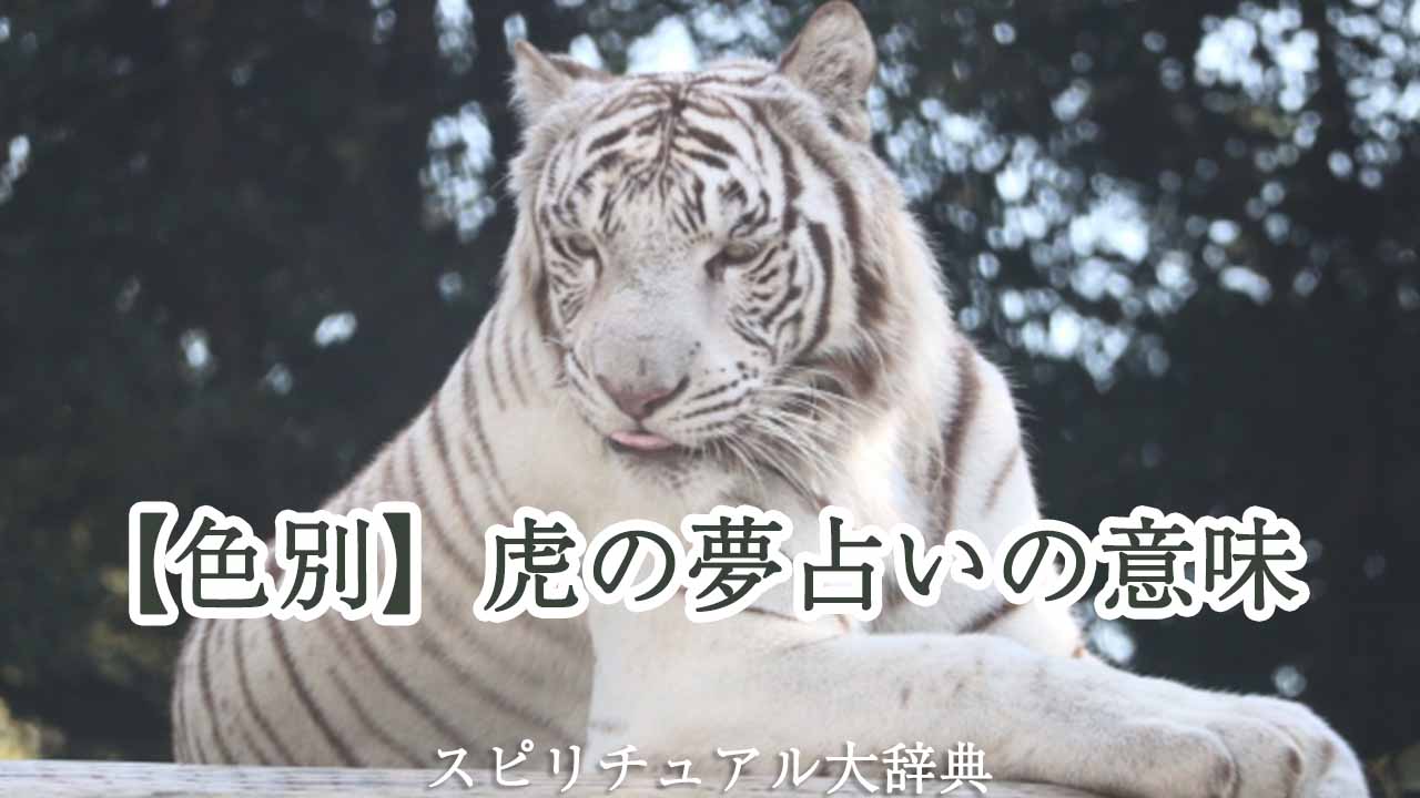 【色別】虎の夢占いの意味
